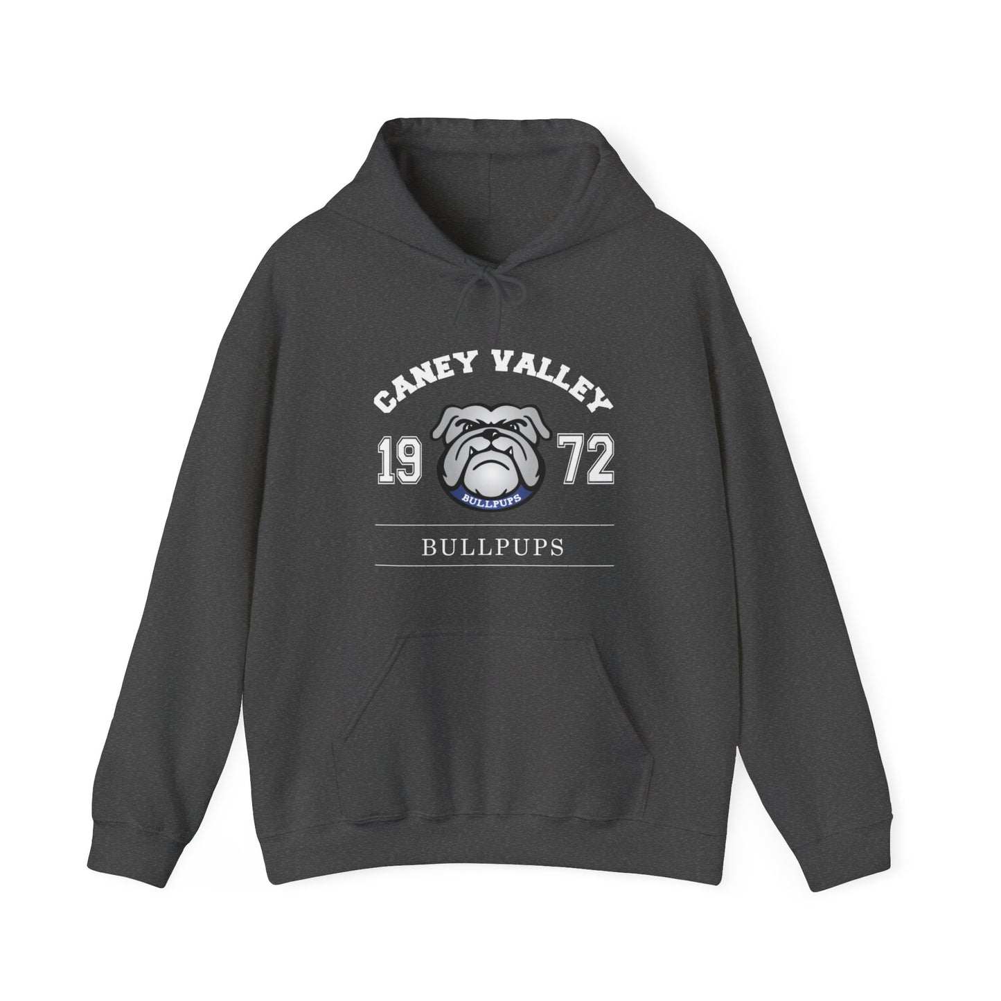 The Santiago - Unisex Heavy Blend™ Hooded Sweatshirt