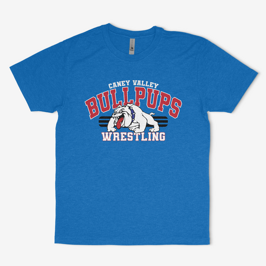 Wrestling 1